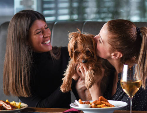 A Ruff Guide to Dog Friendly Restaurants in Thame